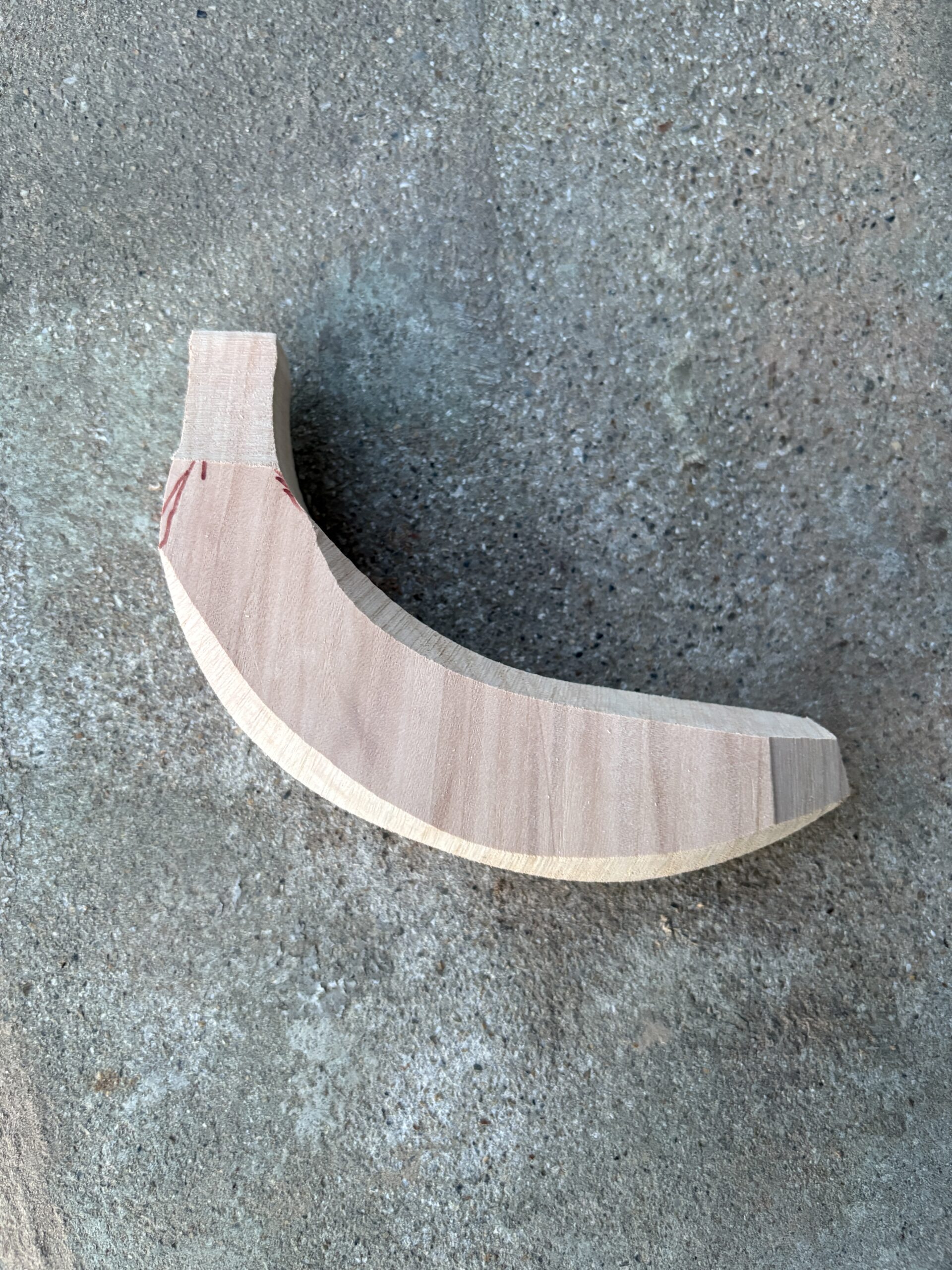 バッコウヤナギ